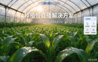 开宁智慧种植慢直播解决方案