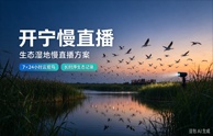 开宁生态湿地智慧观测慢直播解决方案