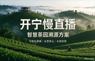 开宁智慧茶园溯源慢直播解决方案