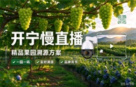 开宁精品果园溯源慢直播解决方案