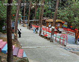 清远清新花园酒店用开宁4G慢直播摄像机直播松林美景