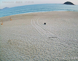 开宁1200万高清慢直播智能球机深圳西涌沙滩慢直播成功案例